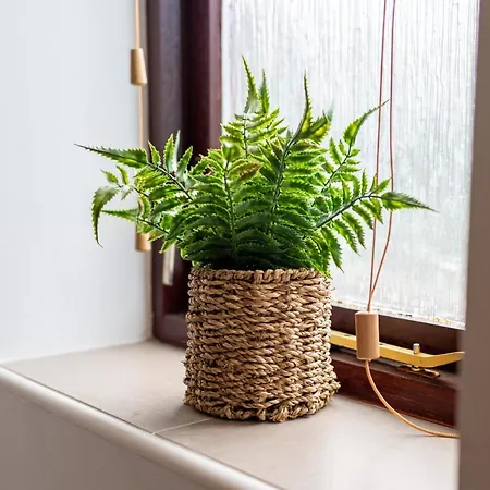 Maltings House Cosy And Stylish 2 Bedroom Flat Near The Centre With Free Parking And Ensuite * Carlisle (Cumbria)